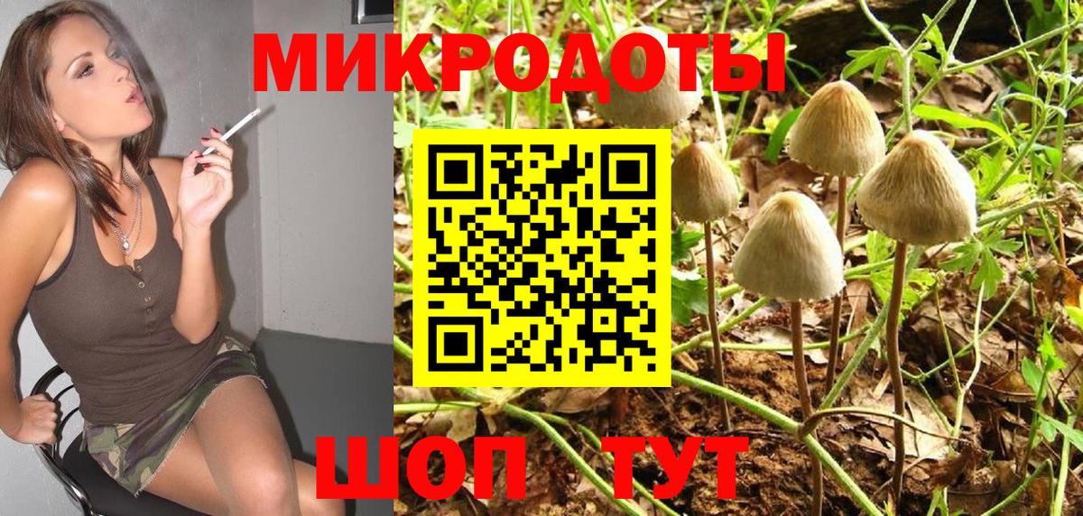 Приморско-Ахтарск  Галлюциногенные грибы MAGIC MUSHROOMS  Вход с VPN  Псилоцибиновые грибы GOLDEN TEACHER 