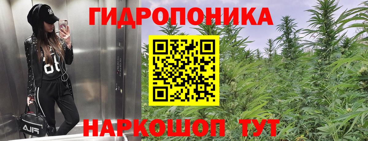 Бошки Шишки Ganja Приморско-Ахтарск